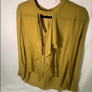 BcbgMaxAzria Sheer Blouse